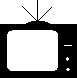 TV im Zi/FeWo